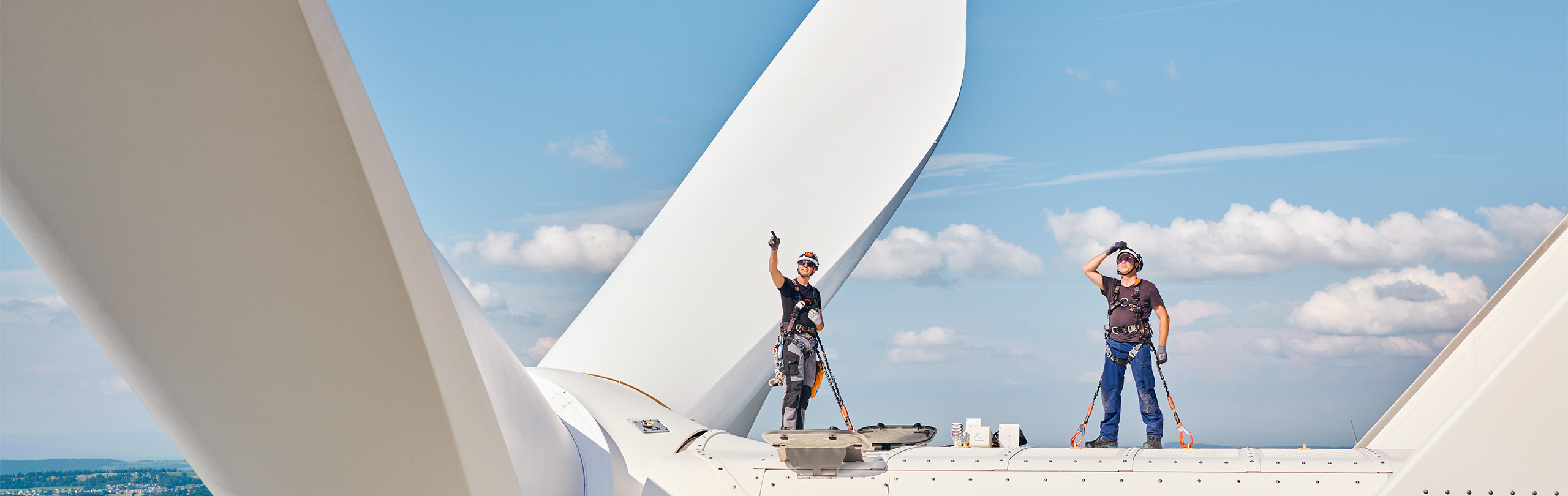 BKW Wind Service GmbH